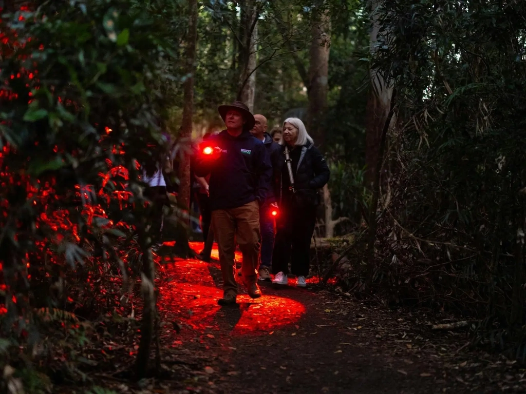 Southern Cross Tour Guide leading group on Glow Worms Tour