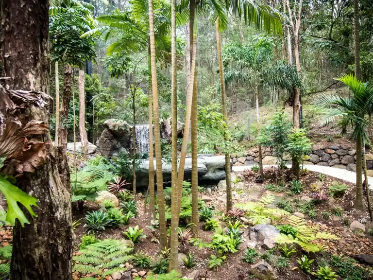Lost Valley - Currumbin Wildlife Sanctuary