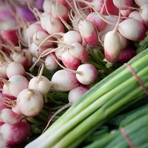 HOTA Farmers and Artisan Market Image 1