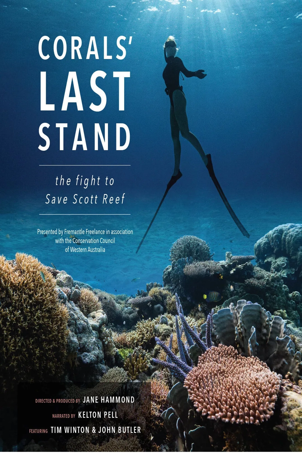 Corals' Last Stand Image 1