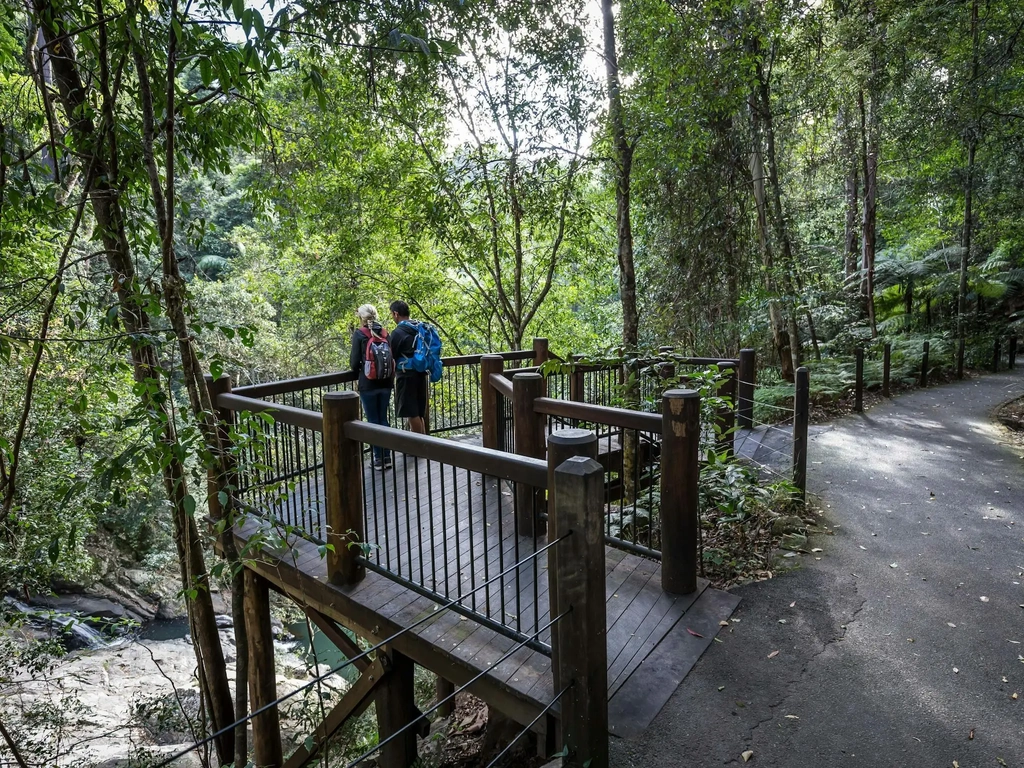 Two people standing at a lookout looking down at a cascading creek.