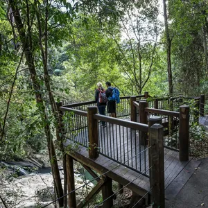 Two people standing at a lookout looking down at a cascading creek.