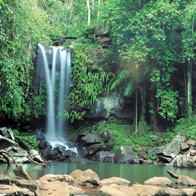 Curtis Falls, Tamborine National Park