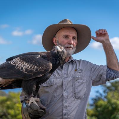 O'Reilly's Rainforest Retreat - Birds of Prey Show