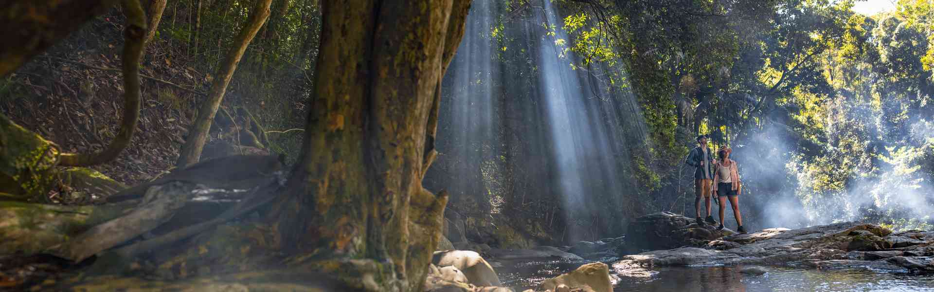 Cougal Cascades, Currumbin Valley