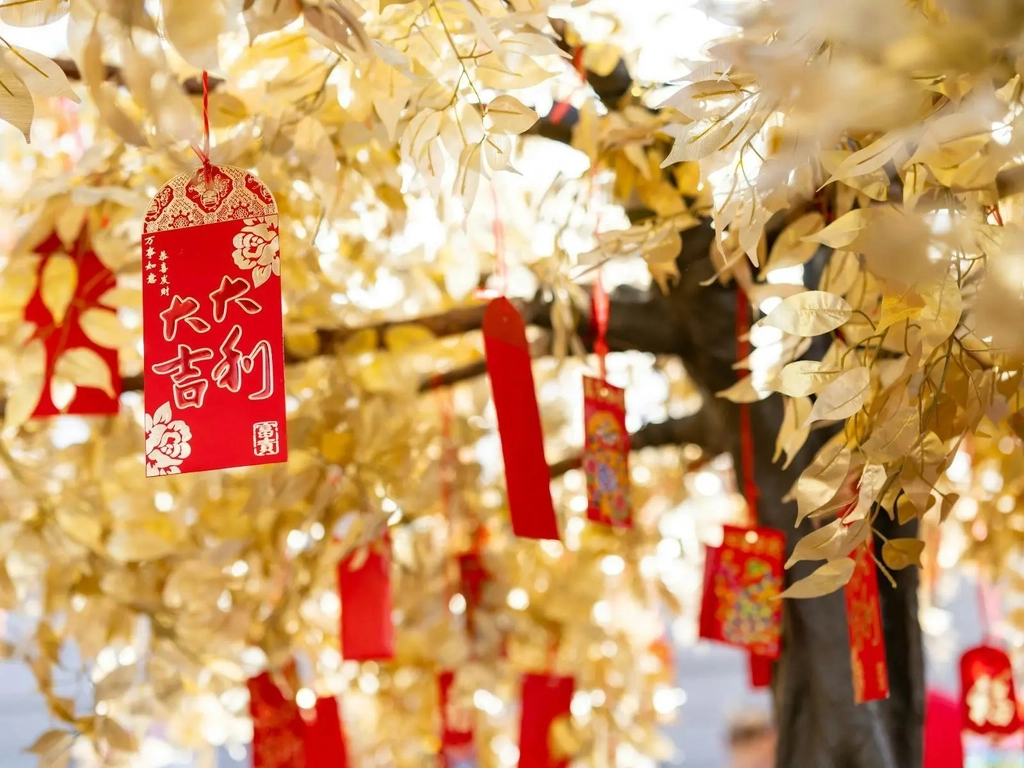 Gold Coast Lunar New Year Image 3