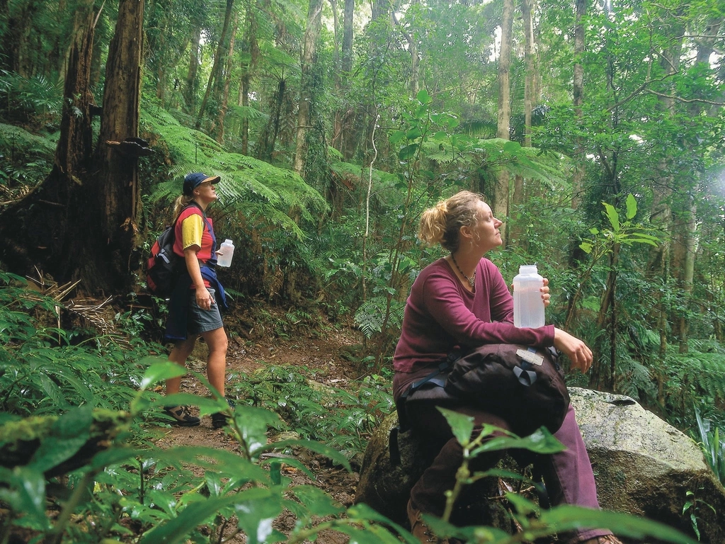 Two bushwalkers in raiforest, Binna Burra section<,Lamington National Park