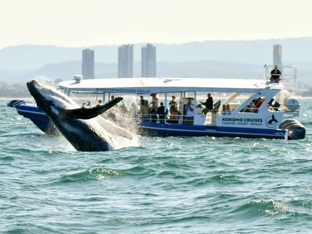 The views from onboard Kokomo Cruises