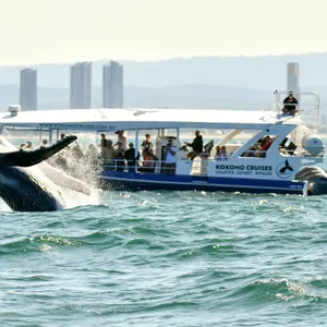 The views from onboard Kokomo Cruises