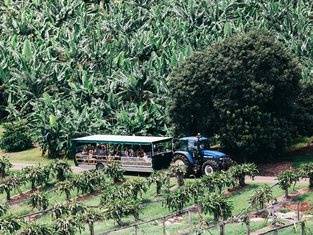 tractor train