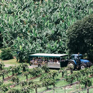 tractor train