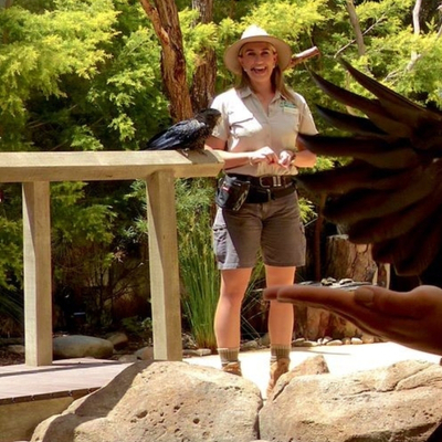 Currumbin Wildlife Sanctuary