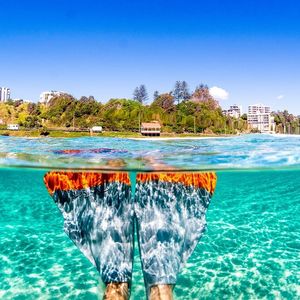 Where To Scuba Dive  Snorkel On The Gold Coast