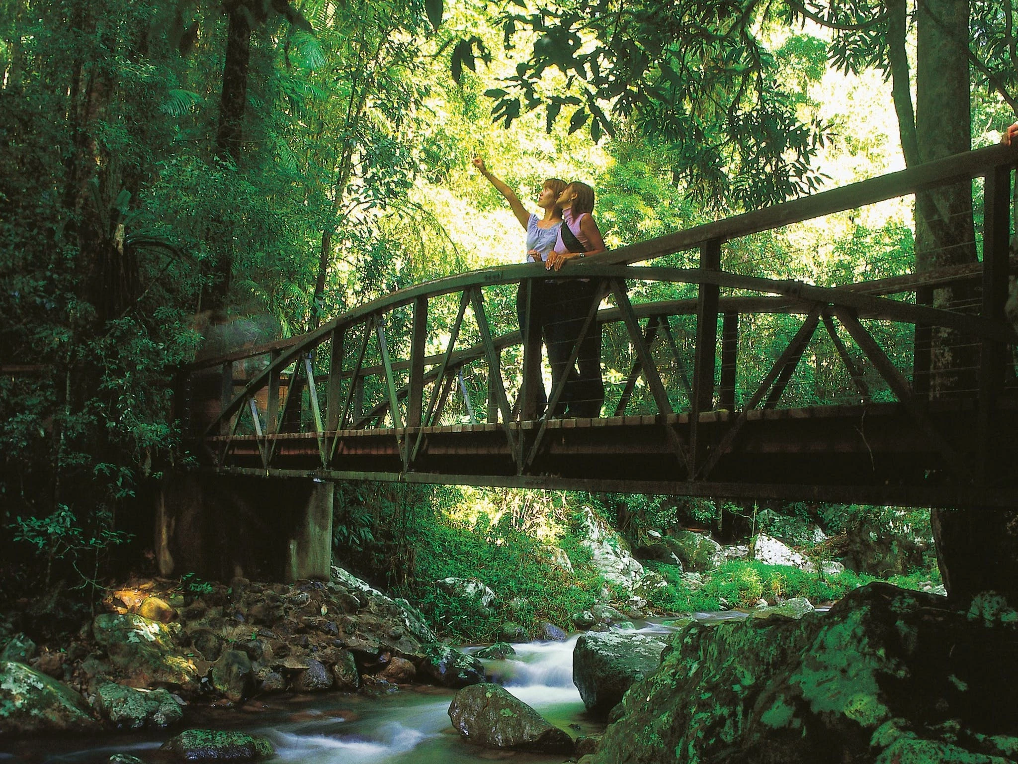 Natural Bridge Circuit, Springbrook National Park | Experience Gold Coast