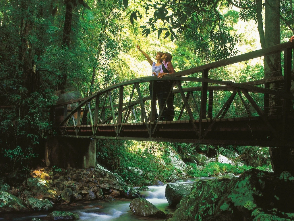 Visitors on bridge over creek looking at rainforest in Springbrook National Park.
