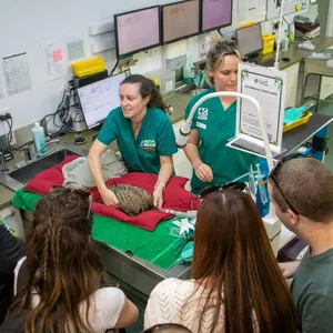 Wildlife Heroes Day Image 1