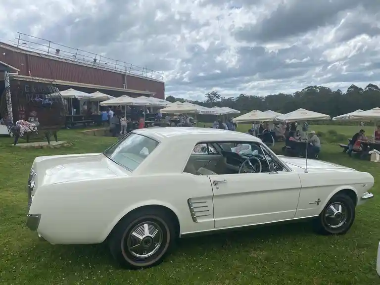 1965 Mustang