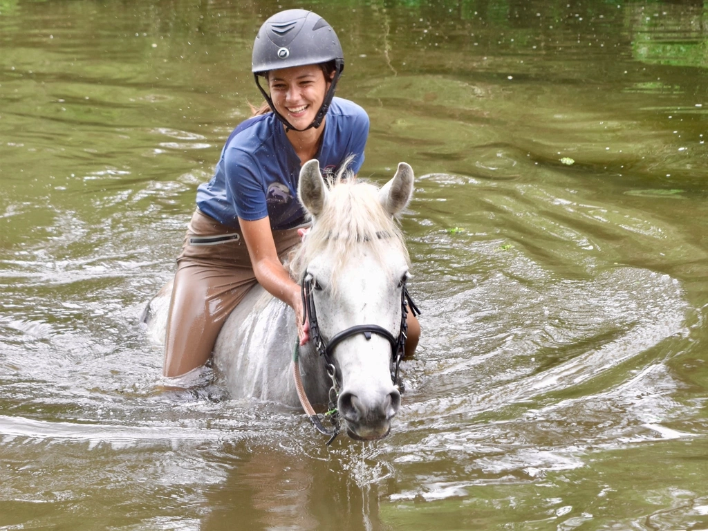Gold Coast Equestrian Centre Destination Gold Coast