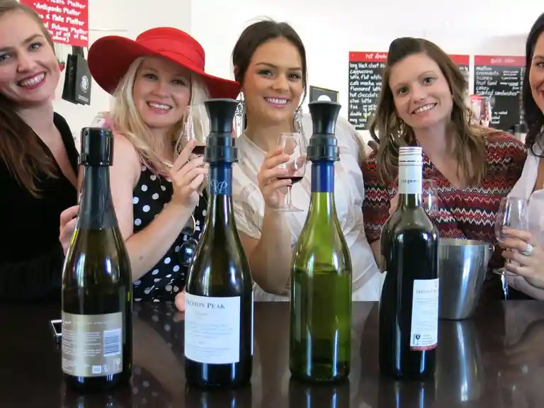 Mount Tamborine Wine Tasting Tour