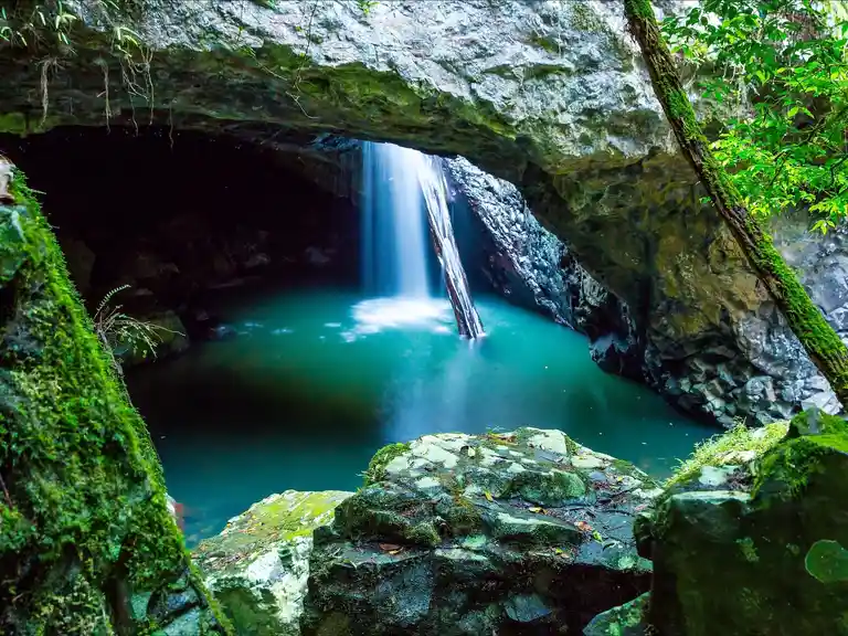 Springbrook, Natural Bridge