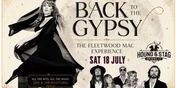BACK TO THE MAC THE FLEETWOOD MAC EXPERIENCE Image 1