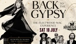 BACK TO THE MAC THE FLEETWOOD MAC EXPERIENCE Image 1
