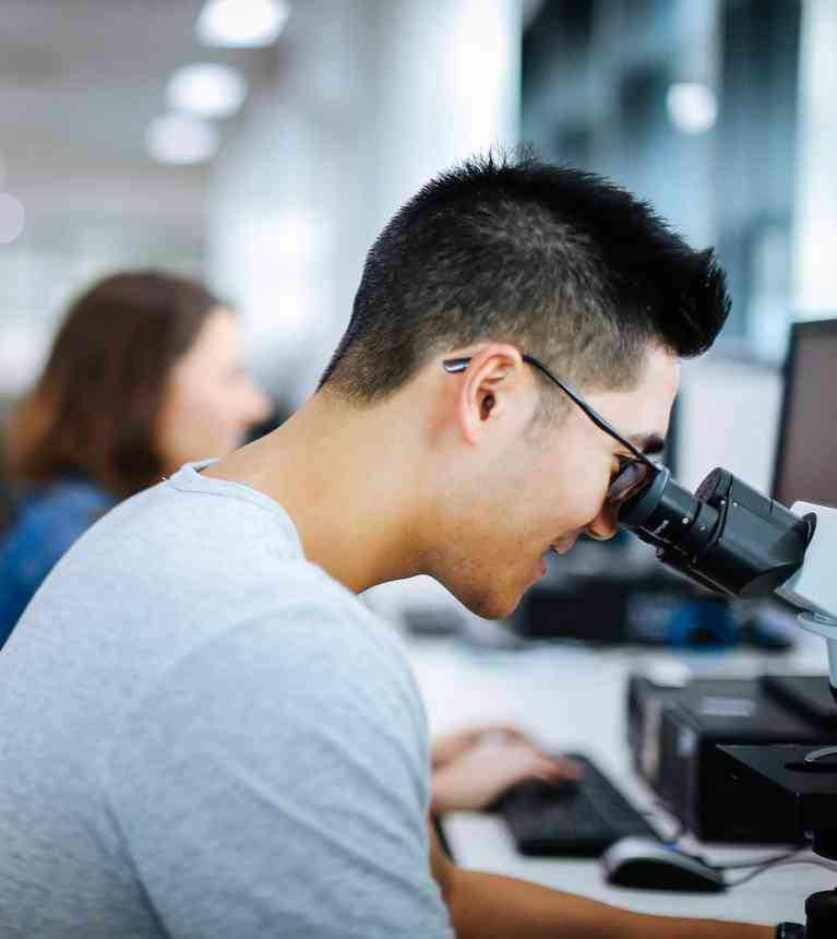 Student studying