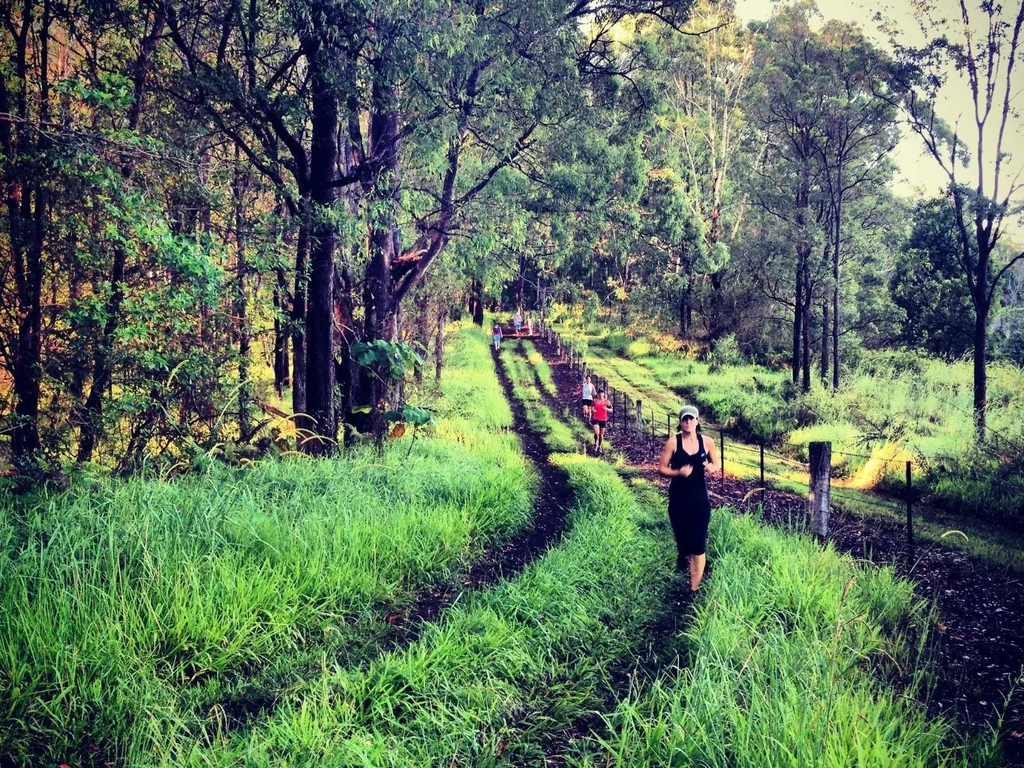 Wild Earth Border Bolt Running Festival Image 1