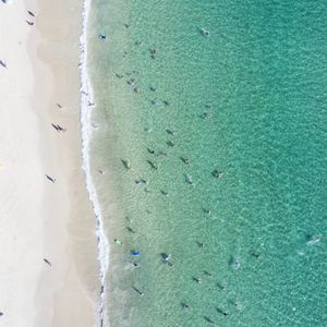 Gold Coasts 5 Most Instagrammable Beaches