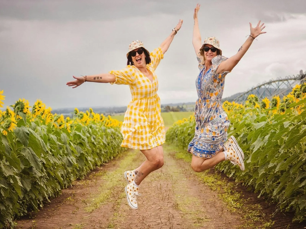 Kalbar Sunflower Festival Image 7
