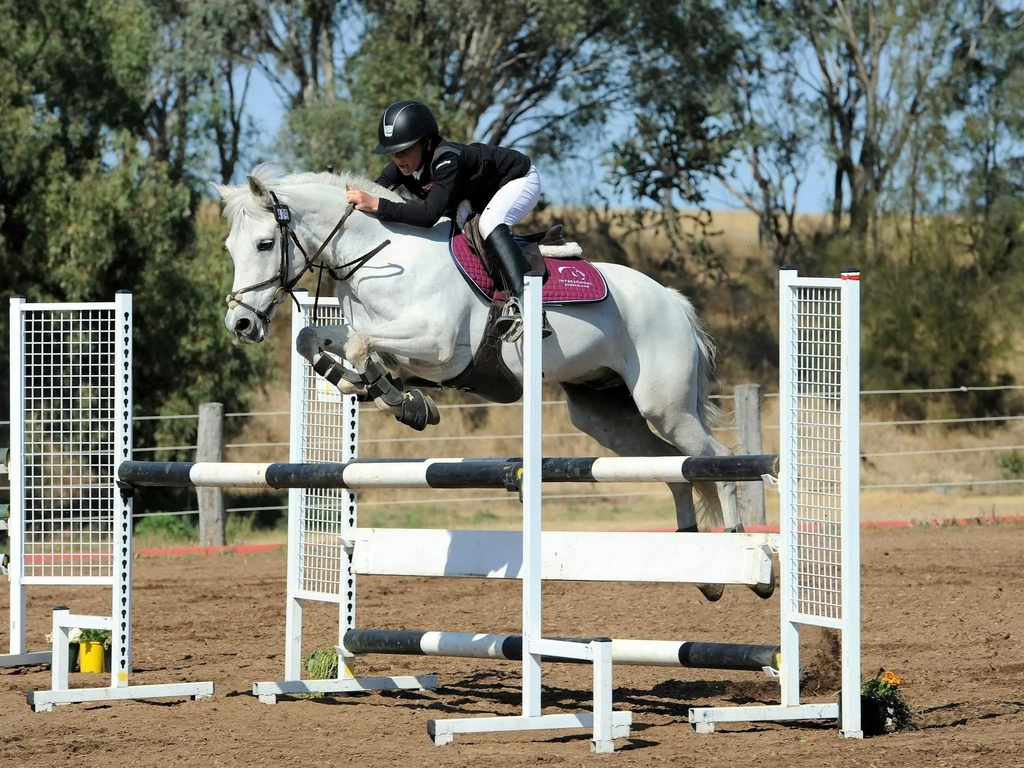 Teaching Show Jumping