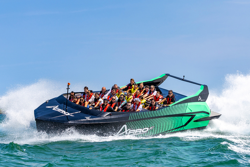 Arro Jet (2) (1).jpg