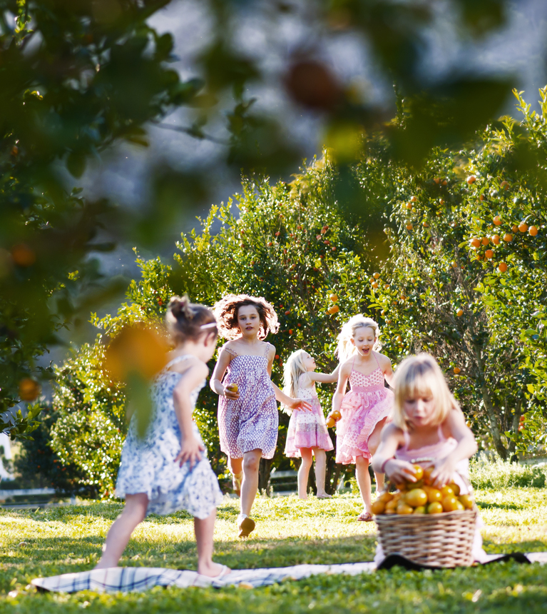 O'Reilly's Canungra Valley Vineyards