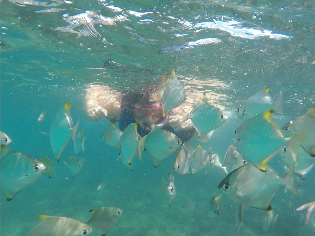 Snorkeling