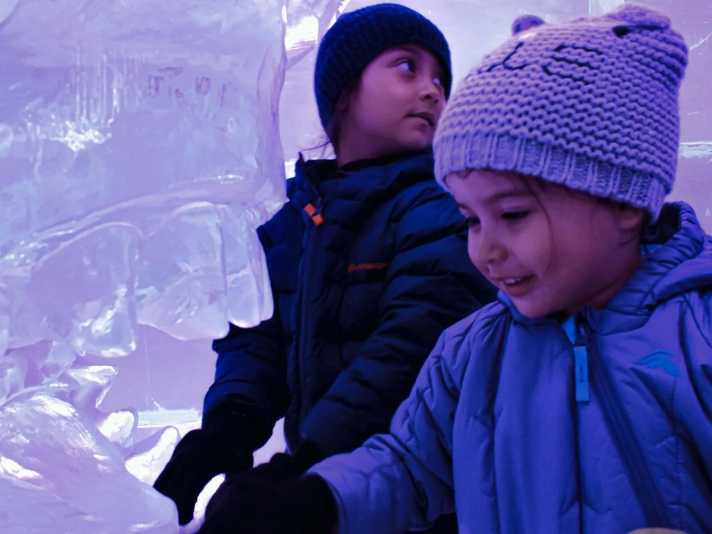 IceBar Surfers