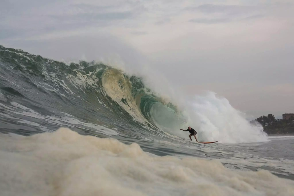 Save The Waves Film Festival Image 1
