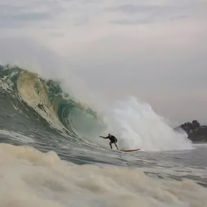 Save The Waves Film Festival Image 1