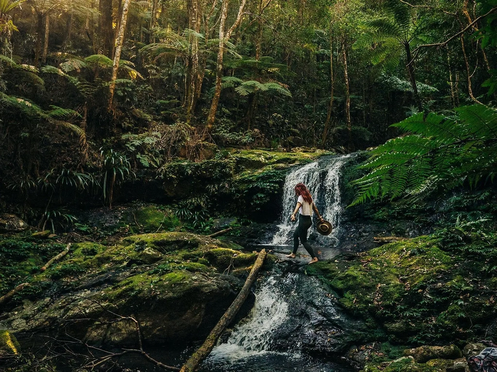 Albert River Circuit - Mirror Falls