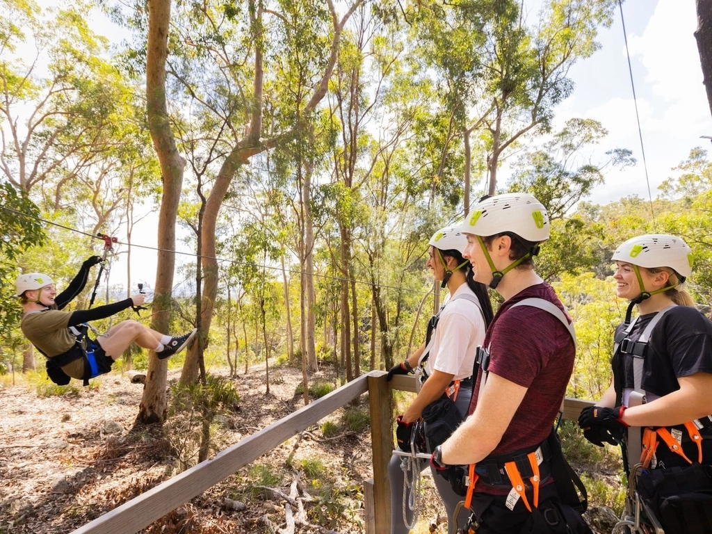 Guests watching a friend do a zipline