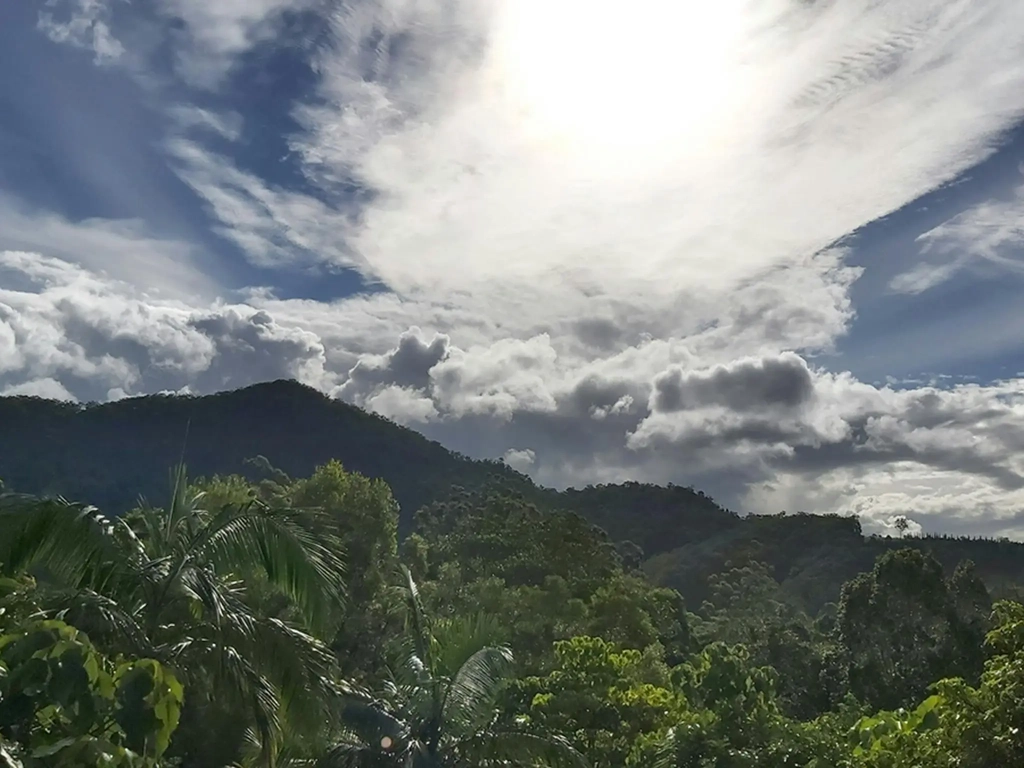 Smilie Mountain creative wild experiences