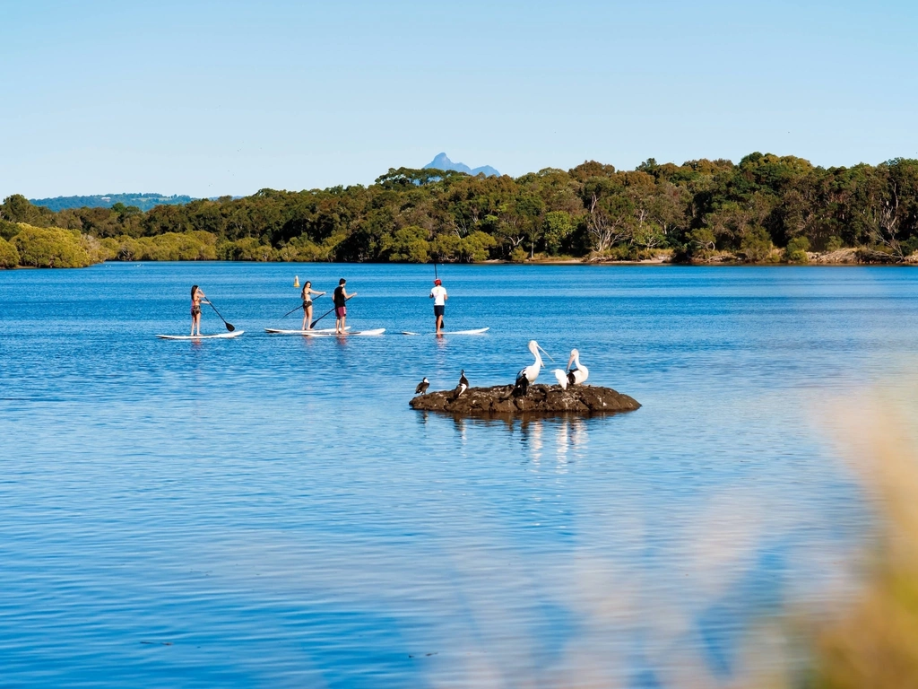 SUP with Mt. Warning