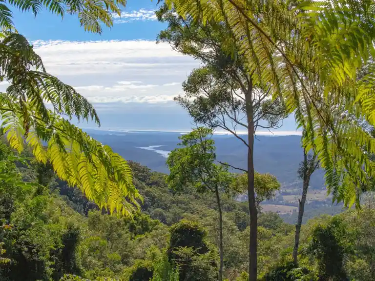 Binna Burra Safari Tent View