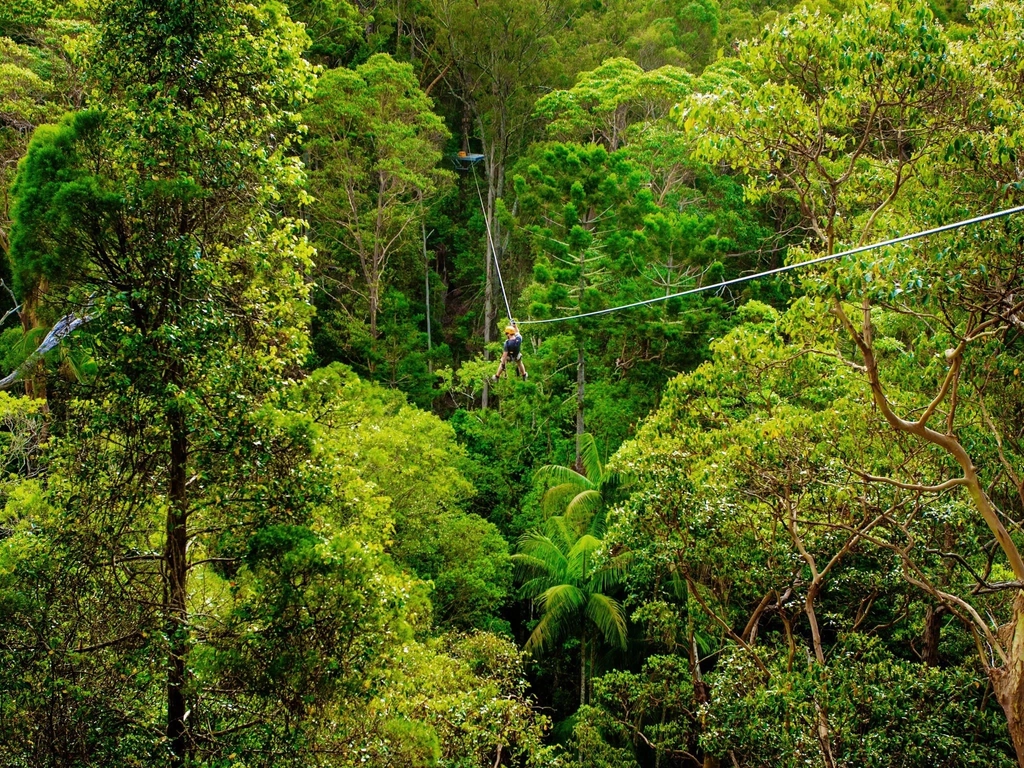 Zipline Tour