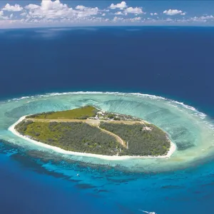 Lady Elliot Island, Southern Great Barrier Reef