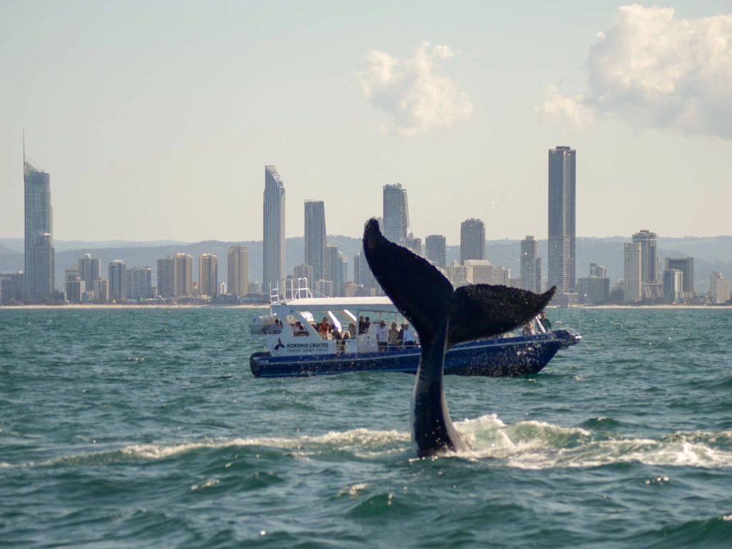 The views from onboard Kokomo Cruises