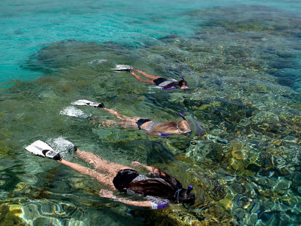 Snorkelers