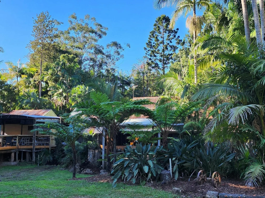 Pathway to coffee shop