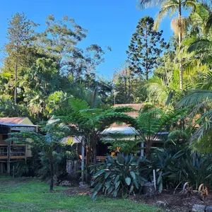 Pathway to coffee shop