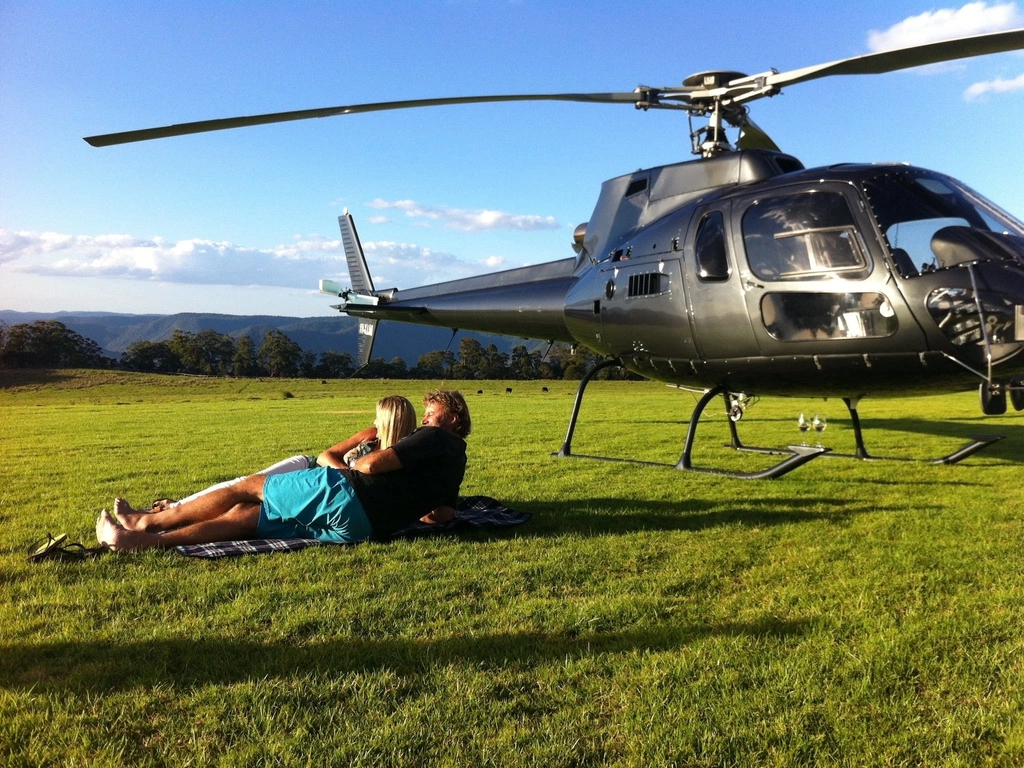 Helicopter picnics in style
