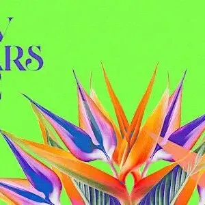 New Year's Eve, The Island Gold Coast Image 1